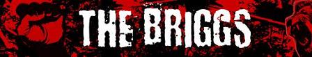 thebriggs_ban